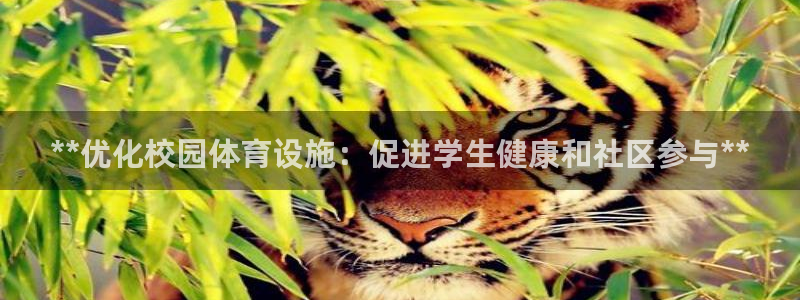 意昂体育3平台假的吗是真的吗：**优化校园体育设施：