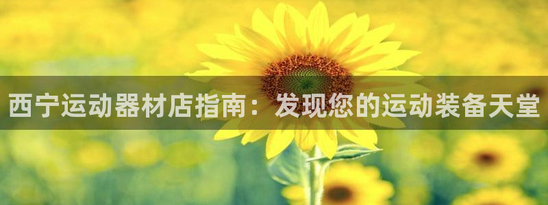 意昂3新能源：西宁运动器材店指南：发现您的运动装备天
