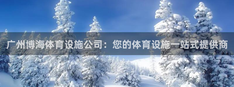 意昂3官方：广州博海体育设施公司：您的体育设施一站式