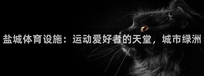 意昂体育3平台注册：盐城体育设施：运动爱好者的天堂，
