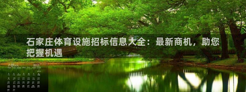 意昂3科技：石家庄体育设施招标信息大全：最新商机，助