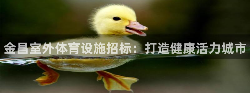 意昂体育3招商电话：金昌室外体育设施招标：打造健康活