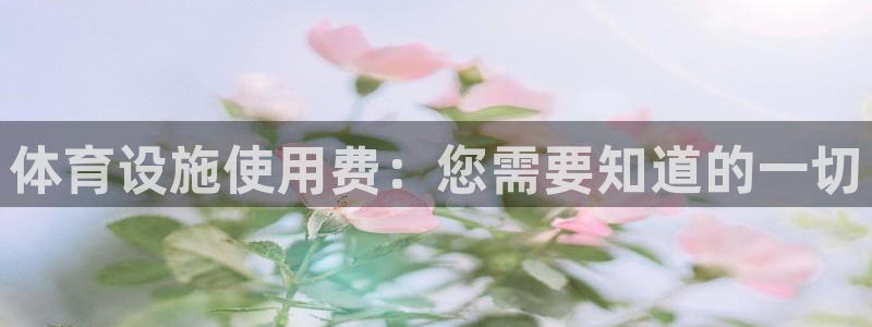 意昂体育3招商：体育设施使用费：您需要知道的一切