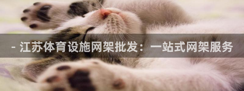意昂3开户：- 江苏体育设施网架批发：一站式网架服务