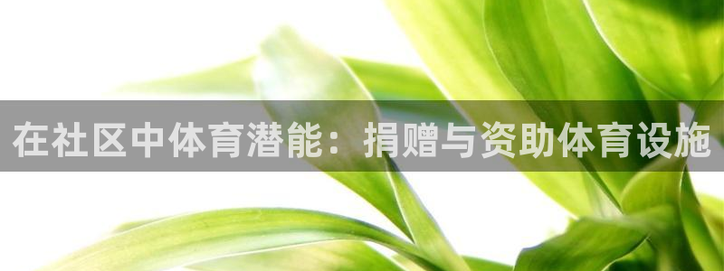 意昂体育3平台是正规平台吗安全吗：在社区中体育潜能：