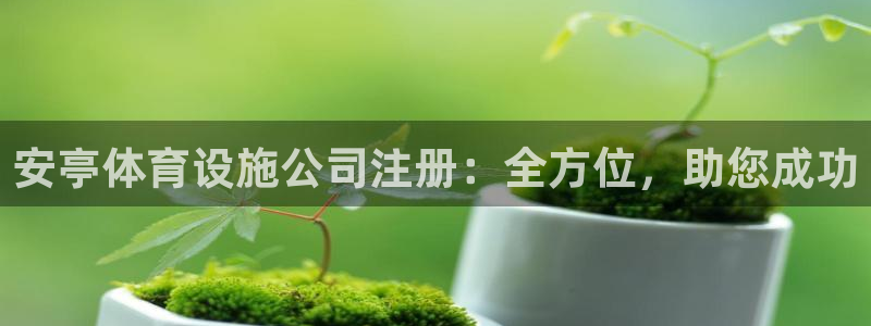 意昂3神州：安亭体育设施公司注册：全方位，助您成功