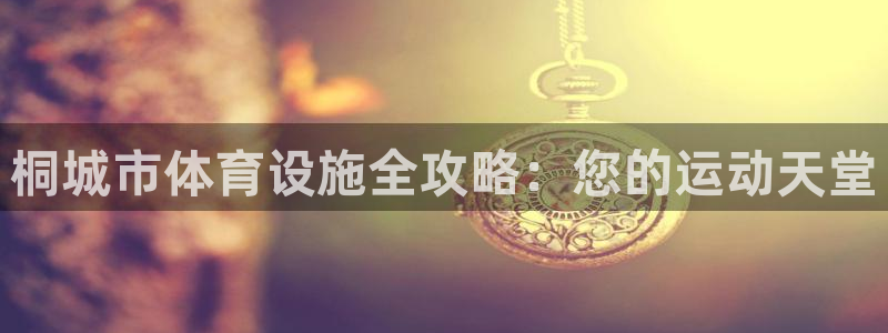 意昂3娱乐：桐城市体育设施全攻略：您的运动天堂