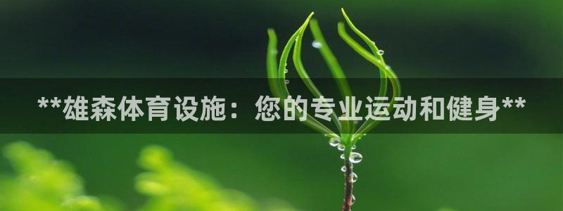 意昂体育3联系电话：**雄森体育设施：您的专业运动和