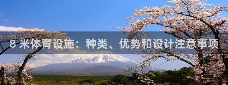 意昂3开户：8 米体育设施：种类、优势和设计注意事项