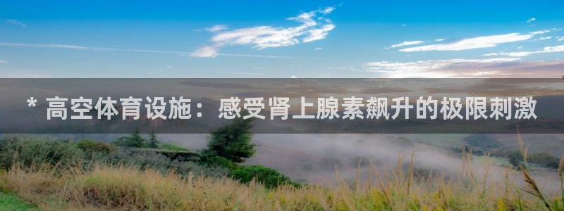 意昂体育3平台注册要钱吗：* 高空体育设施：感受肾上