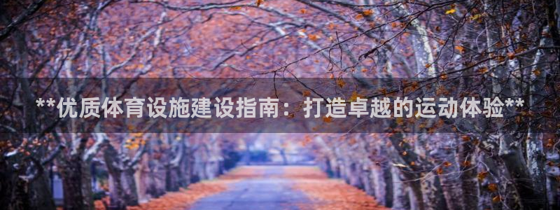 意昂体育3软件：**优质体育设施建设指南：打造卓越的