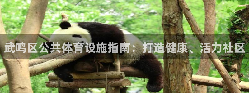 意昂体育3平台假的吗是真的吗：武鸣区公共体育设施指南