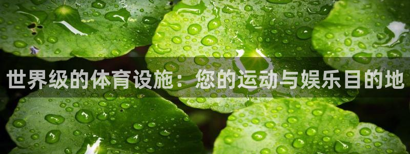 意昂3官网：世界级的体育设施：您的运动与娱乐目的地