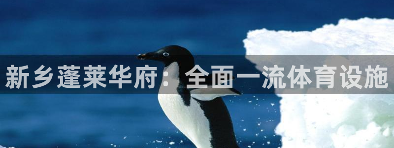 意昂体育3招商：新乡蓬莱华府：全面一流体育设施
