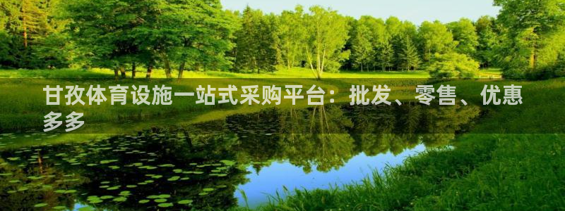 意昂3集团logo：甘孜体育设施一站式采购平台：批发