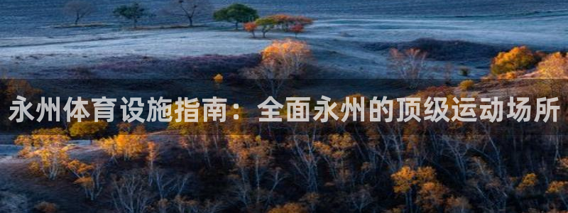 意昂体育3平台：永州体育设施指南：全面永州的顶级运动