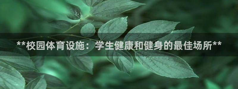 意昂体育3平台注册要钱吗是真的吗：**校园体育设施：