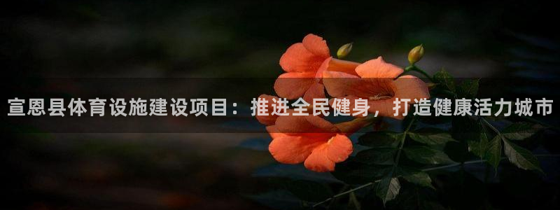 意昂3集团logo：宣恩县体育设施建设项目：推进全民