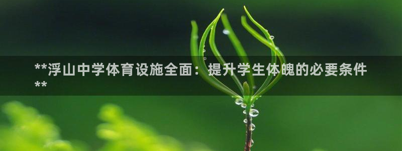意昂体育3招商电话地址是多少：**浮山中学体育设施全