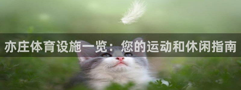 意昂体育3招商电话地址是多少：亦庄体育设施一览：您的