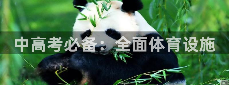 意昂体育3招商电话是多少号码：中高考必备：全面体育设