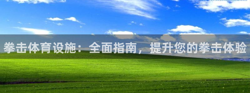 意昂3集团官网网址：拳击体育设施：全面指南，提升您的