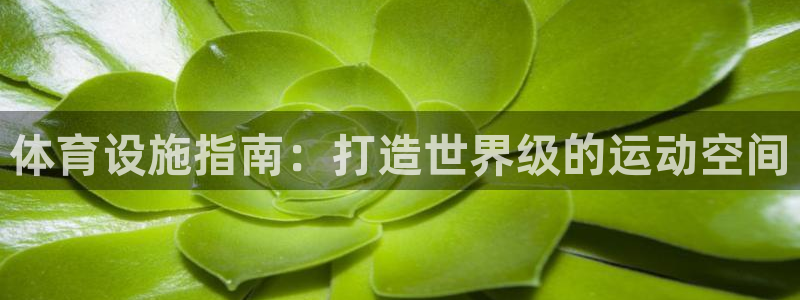意昂3娱乐平台：体育设施指南：打造世界级的运动空间