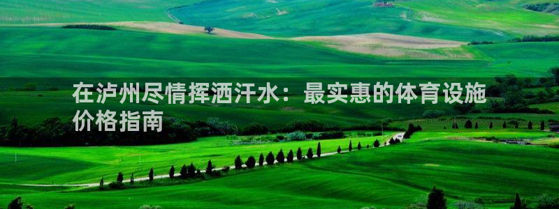 意昂体育3平台：在泸州尽情挥洒汗水：最实惠的体育设施