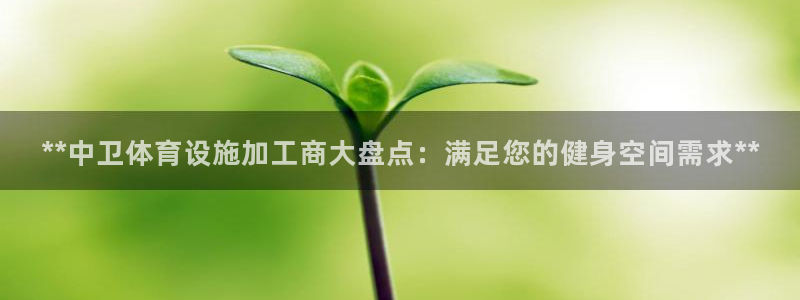 意昂3开户：**中卫体育设施加工商大盘点：满足您的健