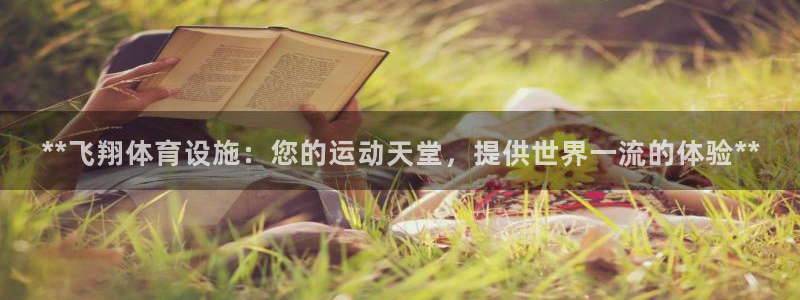 意昂3新能源：**飞翔体育设施：您的运动天堂，提供世