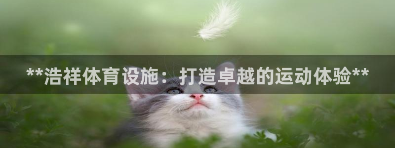 意昂3集团：**浩祥体育设施：打造卓越的运动体验**