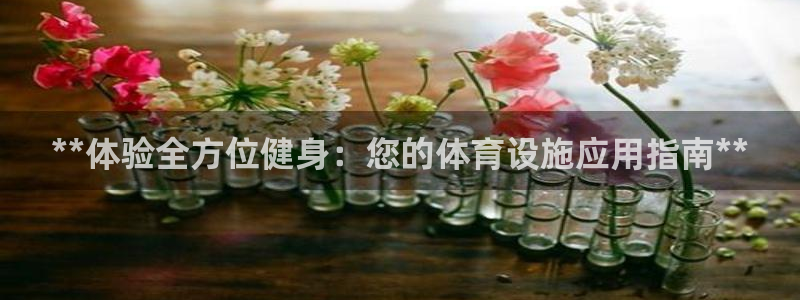 意昂体育3：**体验全方位健身：您的体育设施应用指南