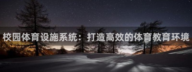 意昂3集团官网网址：校园体育设施系统：打造高效的体育