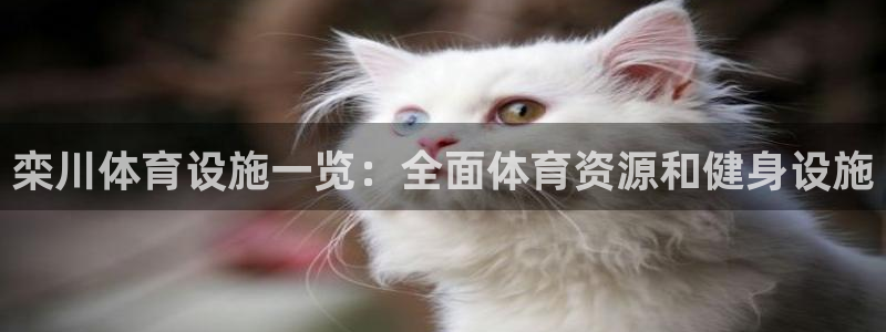 注册意昂3：栾川体育设施一览：全面体育资源和健身设施