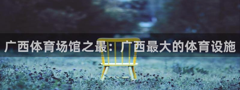 意昂体育3开户：广西体育场馆之最：广西最大的体育设施