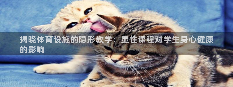 意昂3娱乐首页官网下载：揭晓体育设施的隐形教学：显性