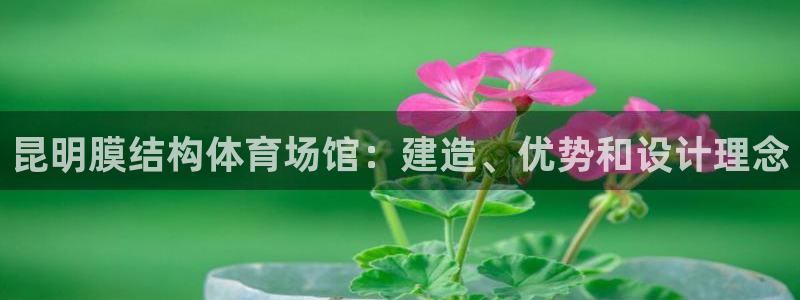 意昂3新能源：昆明膜结构体育场馆：建造、优势和设计理
