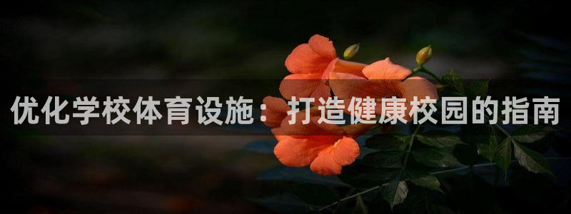 意昂3娱乐代理怎么样：优化学校体育设施：打造健康校园