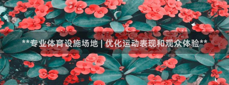 意昂3集团：**专业体育设施场地 | 优化运动表现和