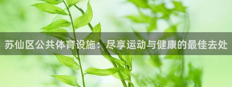 意昂3集团E.ON：苏仙区公共体育设施：尽享运动与健