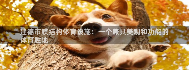 意昂体育3娱乐