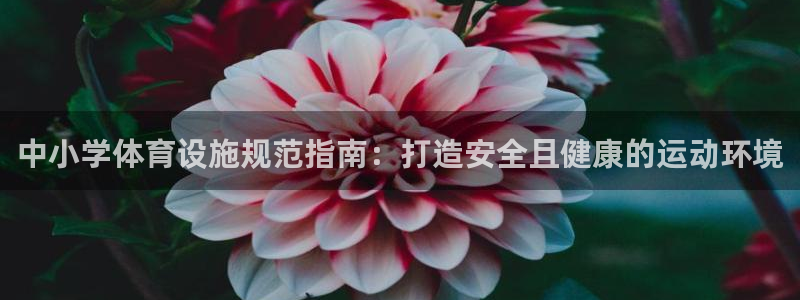 意昂3集团官网首页：中小学体育设施规范指南：打造安全
