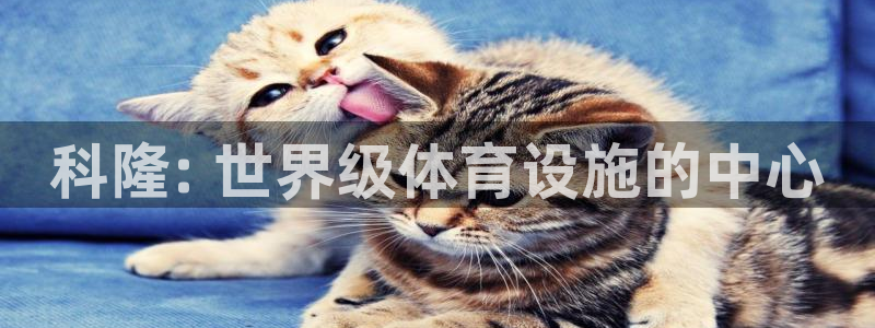 意昂体育3软件：科隆: 世界级体育设施的中心