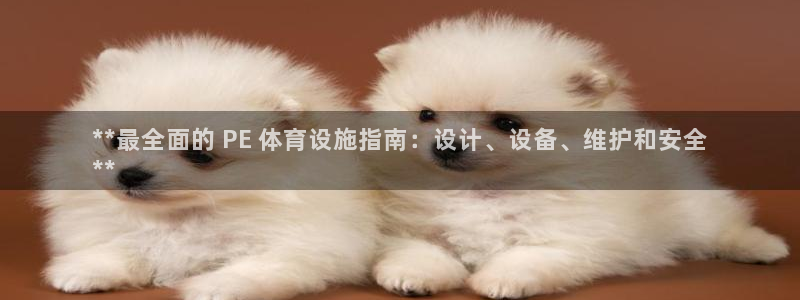 意昂3代理：**最全面的 PE 体育设施指南：设计、