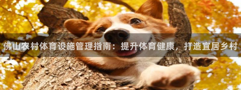 意昂体育3招商电话：佛山农村体育设施管理指南：提升体