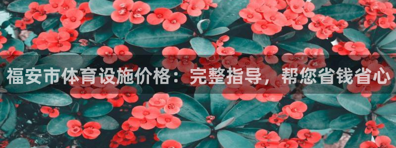 意昂3新能源：福安市体育设施价格：完整指导，帮您省钱