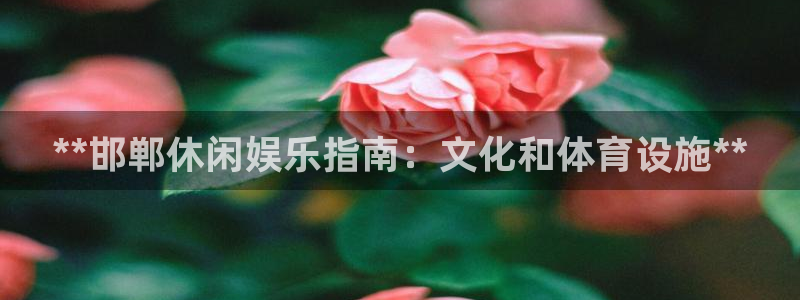 意昂3娱乐首页网站大全：**邯郸休闲娱乐指南：文化和