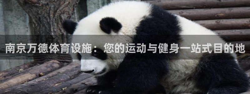 意昂3神州：南京万德体育设施：您的运动与健身一站式目