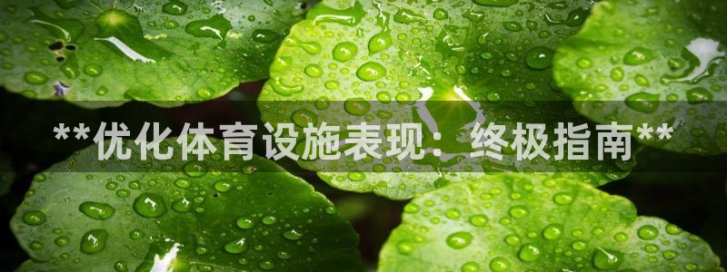 意昂体育3招商电话地址：**优化体育设施表现：终极指