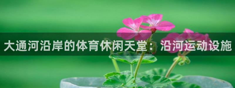意昂体育3招商电话号码：大通河沿岸的体育休闲天堂：沿